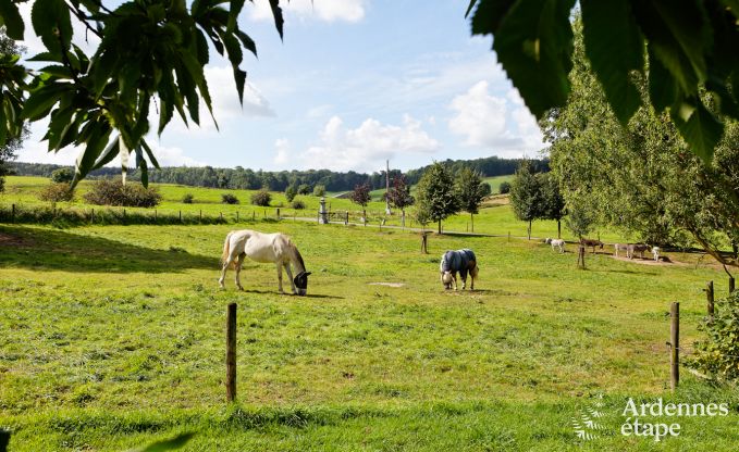 Vakantie op de boerderij in Plombires voor 12 personen in de Ardennen