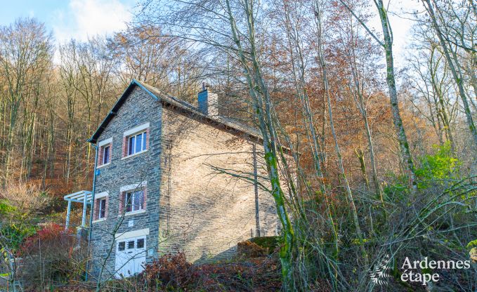 Vakantiehuis in Poupehan voor 8 personen in de Ardennen