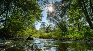                             Nationaal park van de Samber- en Maasvalleien                                         
