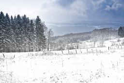 Skipiste van Baraque Fraiture in Provincie Luxemburg