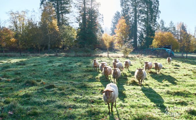 Vakantiehuis in Alle-sur-Semois voor 9 personen in de Ardennen