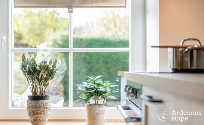 Vakantiehuis in Alle-sur-Semois voor 4 personen in de Ardennen