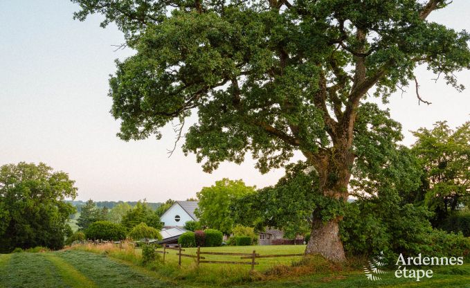 Vakantiehuis in Amel voor 30 personen in de Ardennen