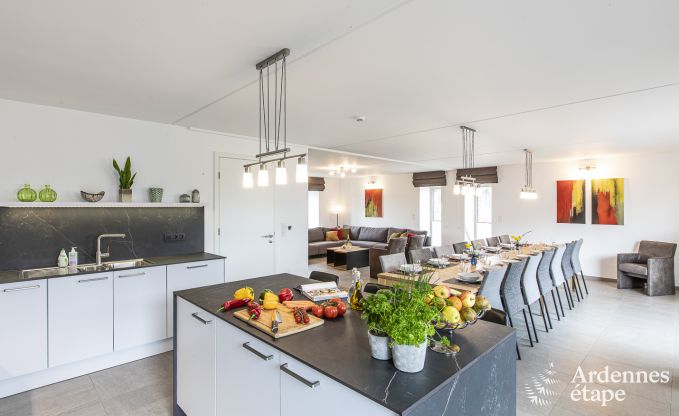 Vakantiehuis voor 10/12 personen in Amel, Hoge Venen