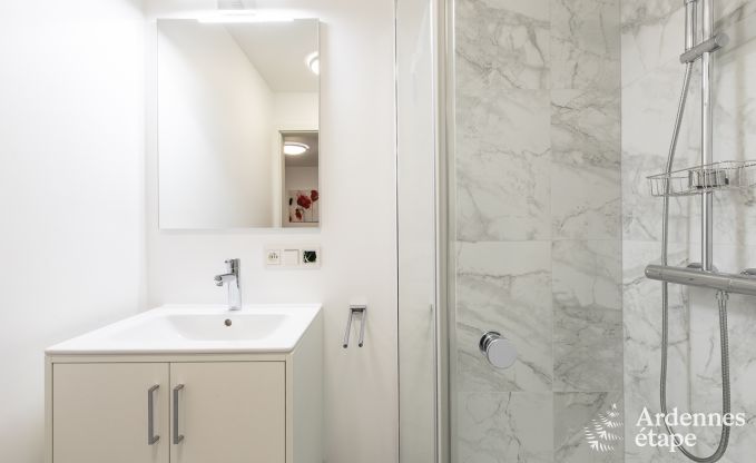 Vakantiehuis voor 10/12 personen in Amel, Hoge Venen