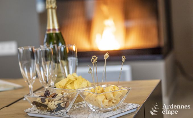 Vakantiehuis voor 10/12 personen in Amel, Hoge Venen