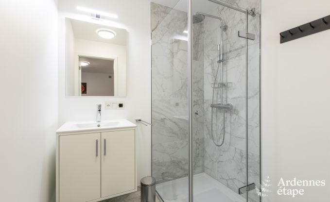 Vakantiehuis voor 10/12 personen in Amel, Hoge Venen