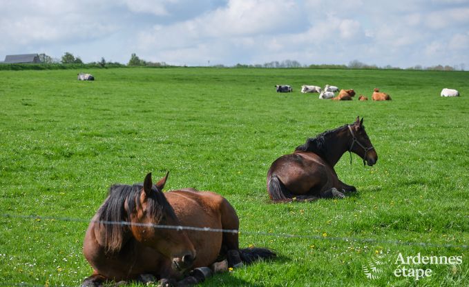 Romantisch vakantiehuis met wellness voor koppels in Andenne