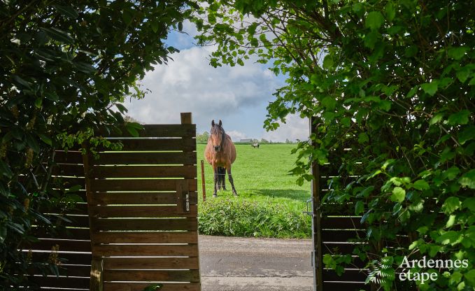 Romantisch vakantiehuis met wellness voor koppels in Andenne
