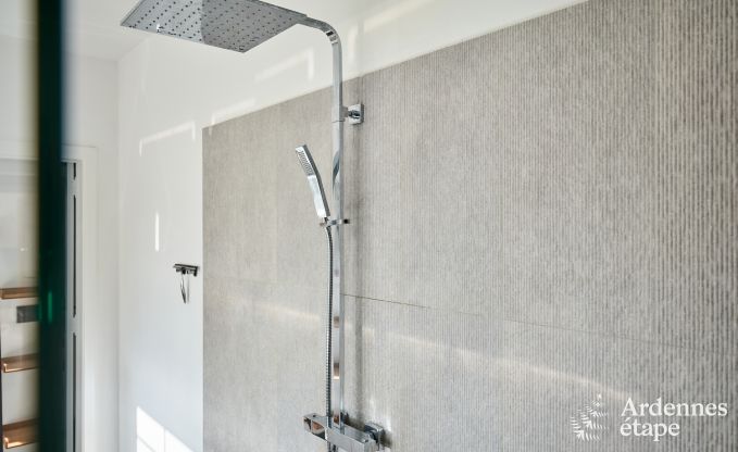 Luxevilla met zwembad en tennisbaan voor 14 personen in Anh�e, gelegen in de vallei van de Molign�e