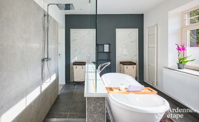 Luxevilla met zwembad en tennisbaan voor 14 personen in Anh�e, gelegen in de vallei van de Molign�e