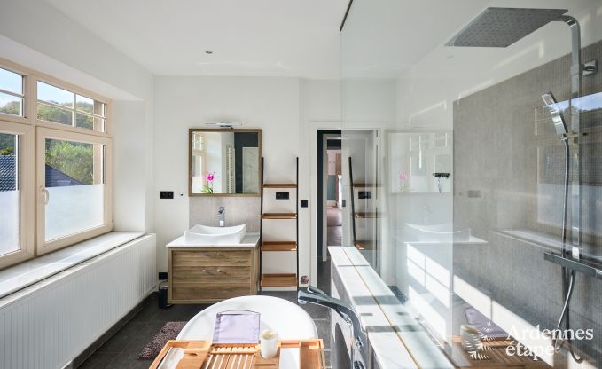 Luxevilla met zwembad en tennisbaan voor 14 personen in Anh�e, gelegen in de vallei van de Molign�e