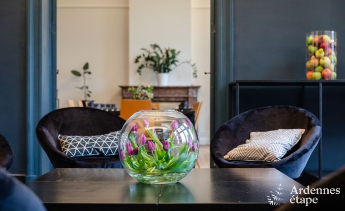 Vakantiehuis in Anhe voor 24/26 personen met cl verte-label