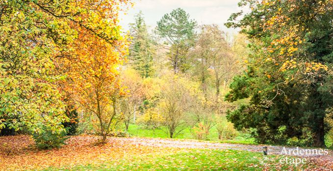 Vakantiehuis in Anhe voor 24/26 personen met cl verte-label