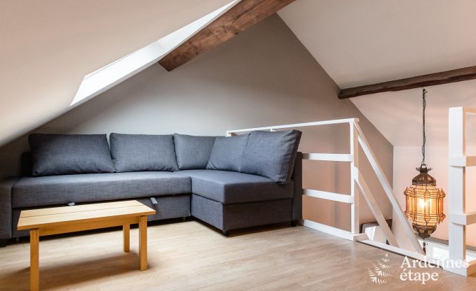 Vakantiehuis in Anh�e voor 8/9 personen in de Ardennen