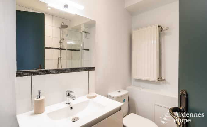 Vakantiehuis in Anh�e voor 8/9 personen in de Ardennen