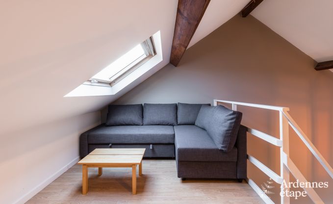 Vakantiehuis in Anh�e voor 8/9 personen in de Ardennen