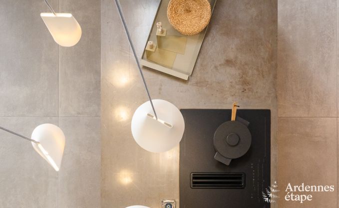 Authentiek vakantiehuis voor 6 personen in Anhe met priv sauna, overdekt terras en luxe interieur