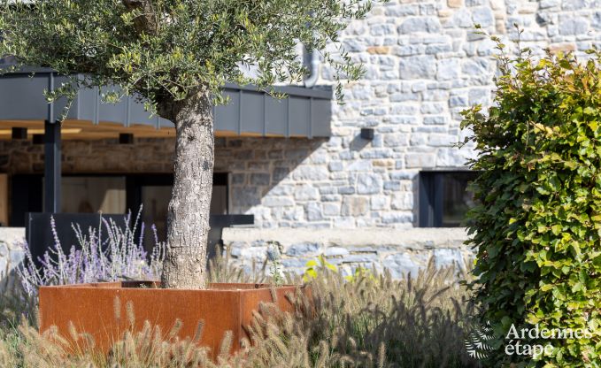 Authentiek vakantiehuis voor 6 personen in Anhe met priv sauna, overdekt terras en luxe interieur