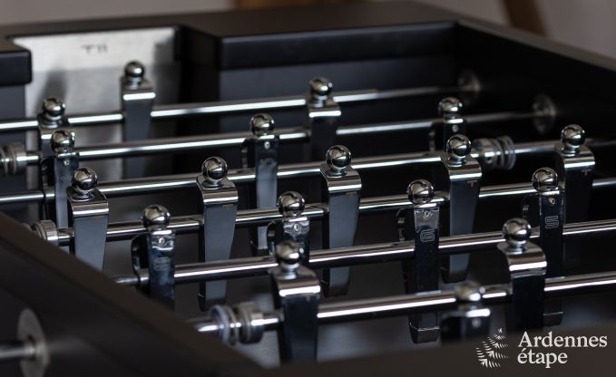 Authentiek vakantiehuis voor 6 personen in Anhe met priv sauna, overdekt terras en luxe interieur