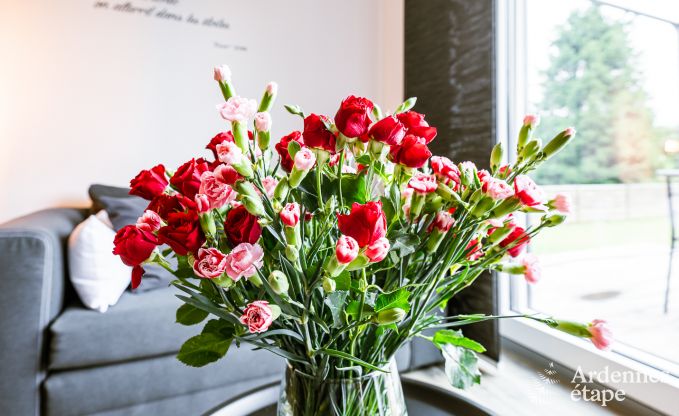 Vakantiehuis voor 2/3 personen in Anhe, Ardennen