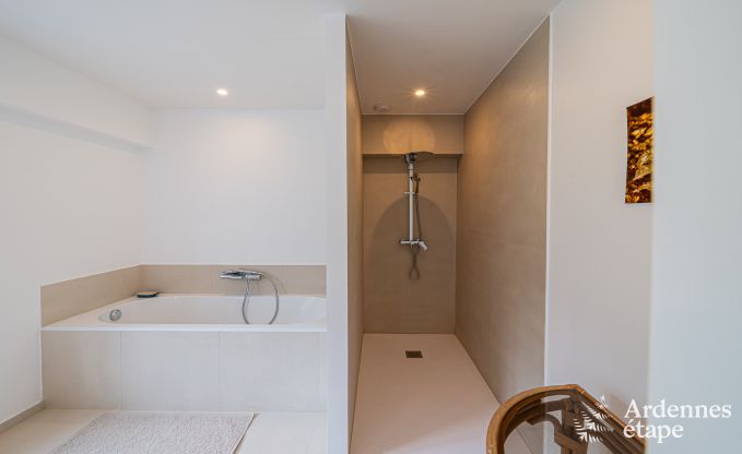 Ruime villa in Assesse, 9 personen met 5 slaapkamers en jullie eigen park