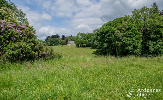 Ruime villa in Assesse, 9 personen met 5 slaapkamers en jullie eigen park