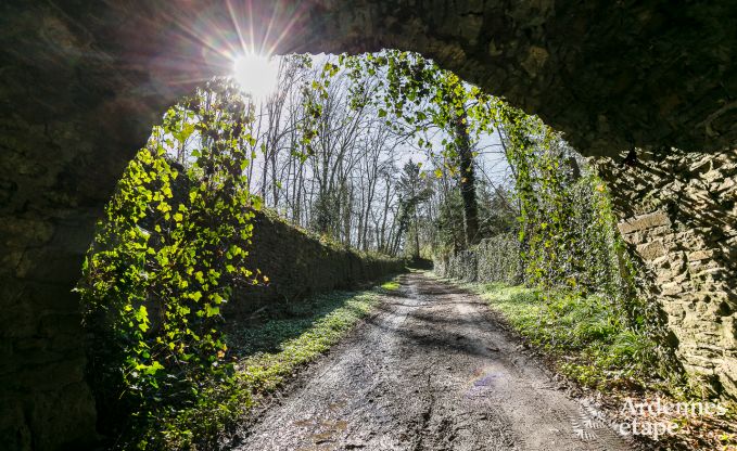 Vakantiehuis in Assesse voor 6/8 personen in de Ardennen