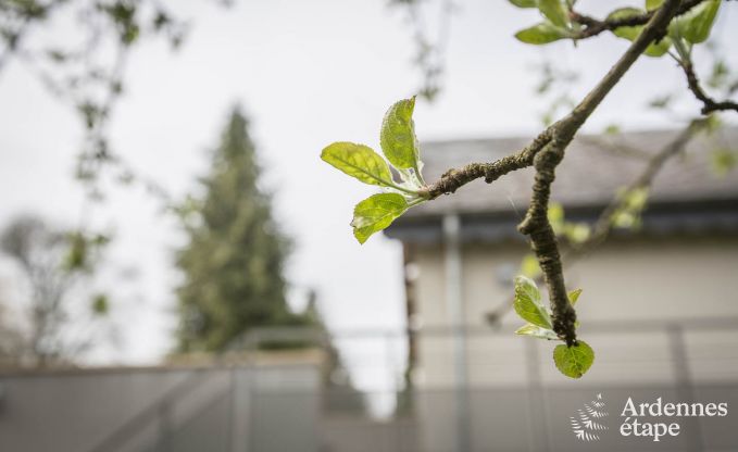 Vakantiehuis in Attert voor 4 personen in de Ardennen