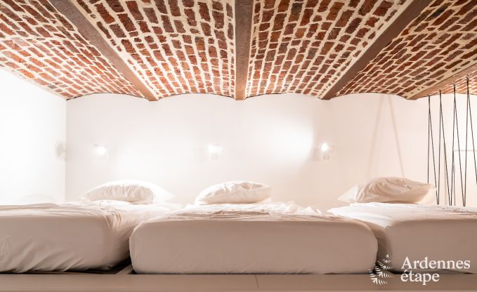 Buitengewoon in Aubel voor 14 personen in de Ardennen