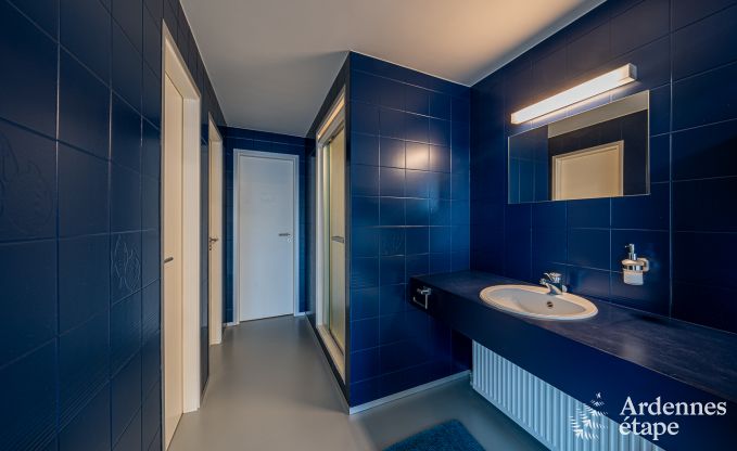 Luxe villa met zwembad voor 18 personen in Aubel, Ardennen