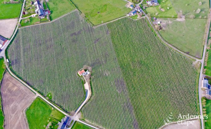 Luxe boerderijvilla in Aubel voor 8 personen in de Ardennen