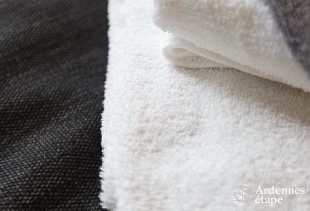 Vakantiehuis in Aubel voor 13 personen in de Ardennen