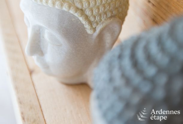 Vakantiehuis in Aubel voor 13 personen in de Ardennen