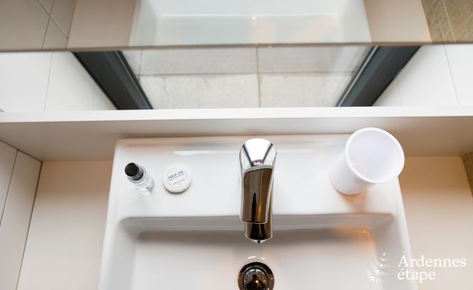 Vakantiehuis in Aubel voor 11 personen in de Ardennen