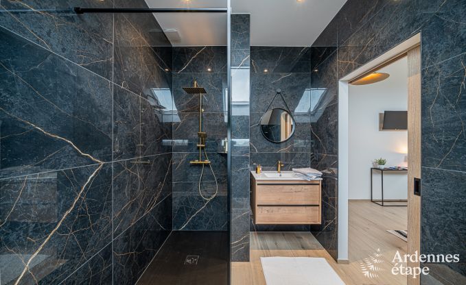 Vakantiehuis in Aubel voor 12 personen in de Ardennen