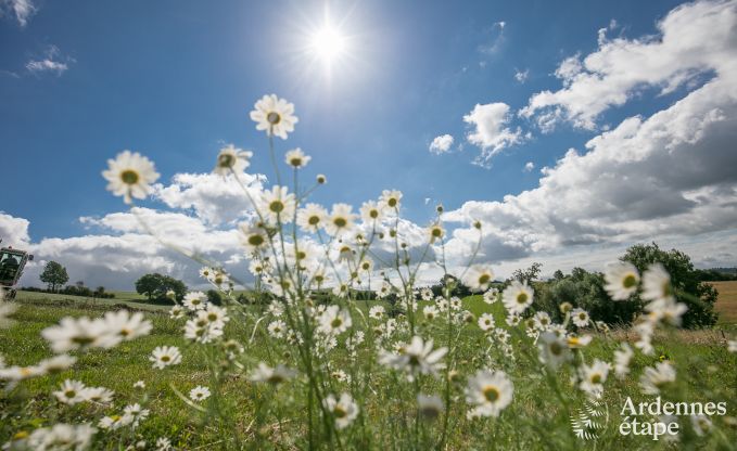 Vakantiehuis in Aubel voor 2/4 personen in de Ardennen