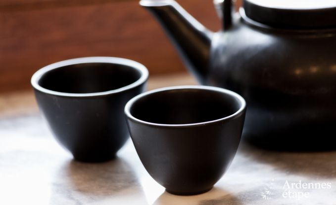 Vakantiehuis in Aywaille voor 2/4 personen in de Ardennen