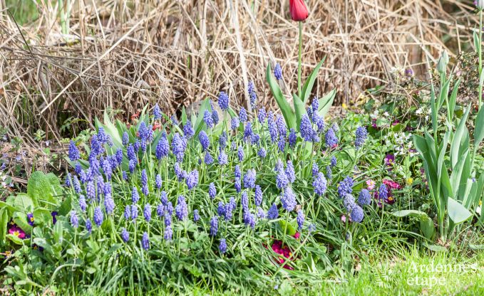 Vakantiehuis in Aywaille voor 2/4 personen in de Ardennen
