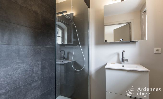 Vakantiehuis in Aywaille voor 8/9 personen in de Ardennen