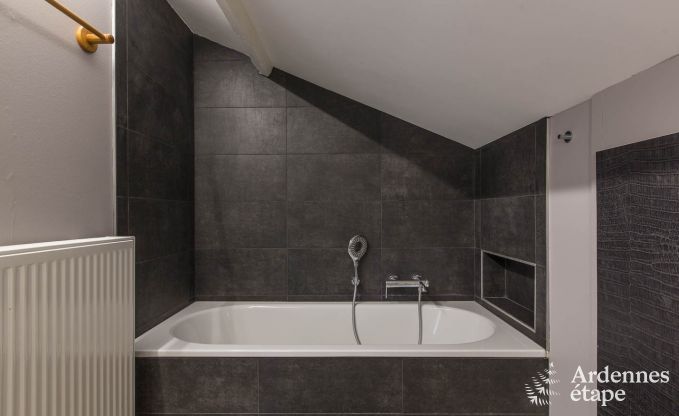 Vakantiehuis in Aywaille voor 8/9 personen in de Ardennen