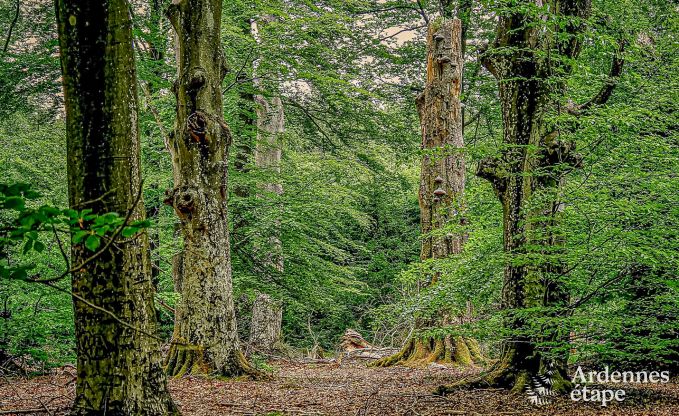 Vakantiehuis in Aywaille voor 6 personen in de Ardennen