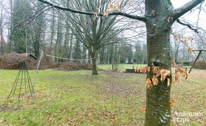 Vakantiehuis in Aywaille voor 14 personen in de Ardennen