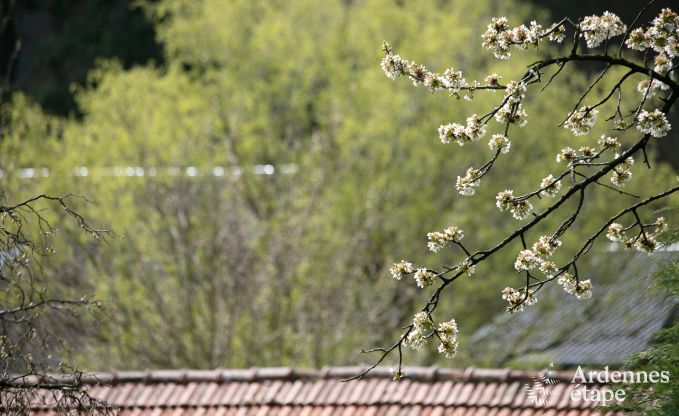 Vakantiehuis in Aywaille voor 10/14 personen in de Ardennen