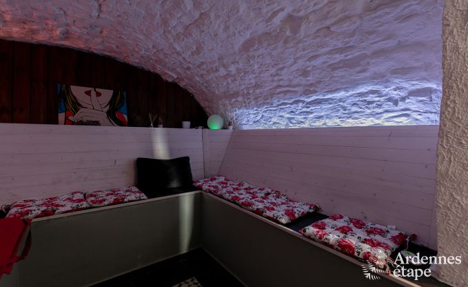 Vakantiehuis in Aywaille voor 10/14 personen in de Ardennen