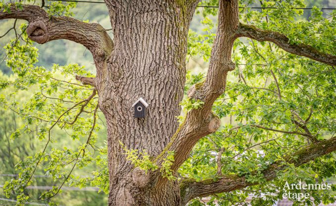 Gezellige houten familiechalet in Aywaille, Ardennen