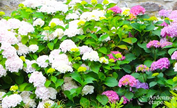 Vakantiehuis in Aywaille voor 2 personen in de Ardennen