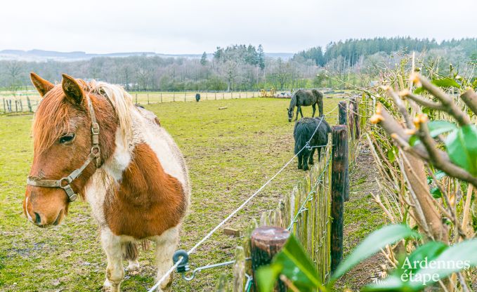 Vakantiehuis in Baclain (Gouvy) voor 6/7 personen in de Ardennen