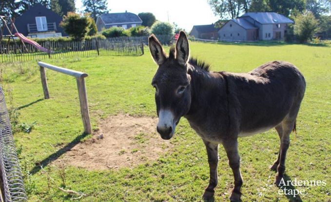 Vakantiehuis in Baclain (Gouvy) voor 6/7 personen in de Ardennen