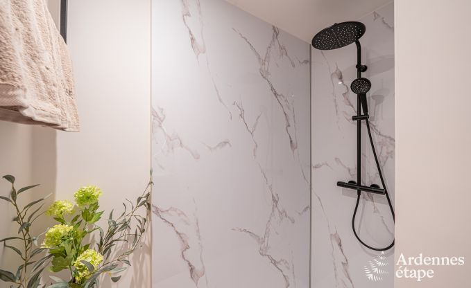 Luxueus vakantiehuis in Baillonville voor 6 personen met wellness en verwarmd zwembad